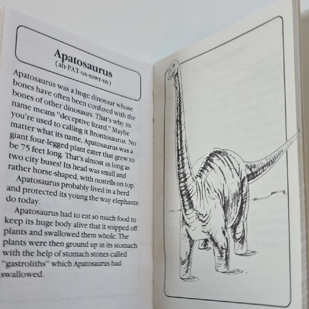 Paleo Pals Dinosaur Card Game